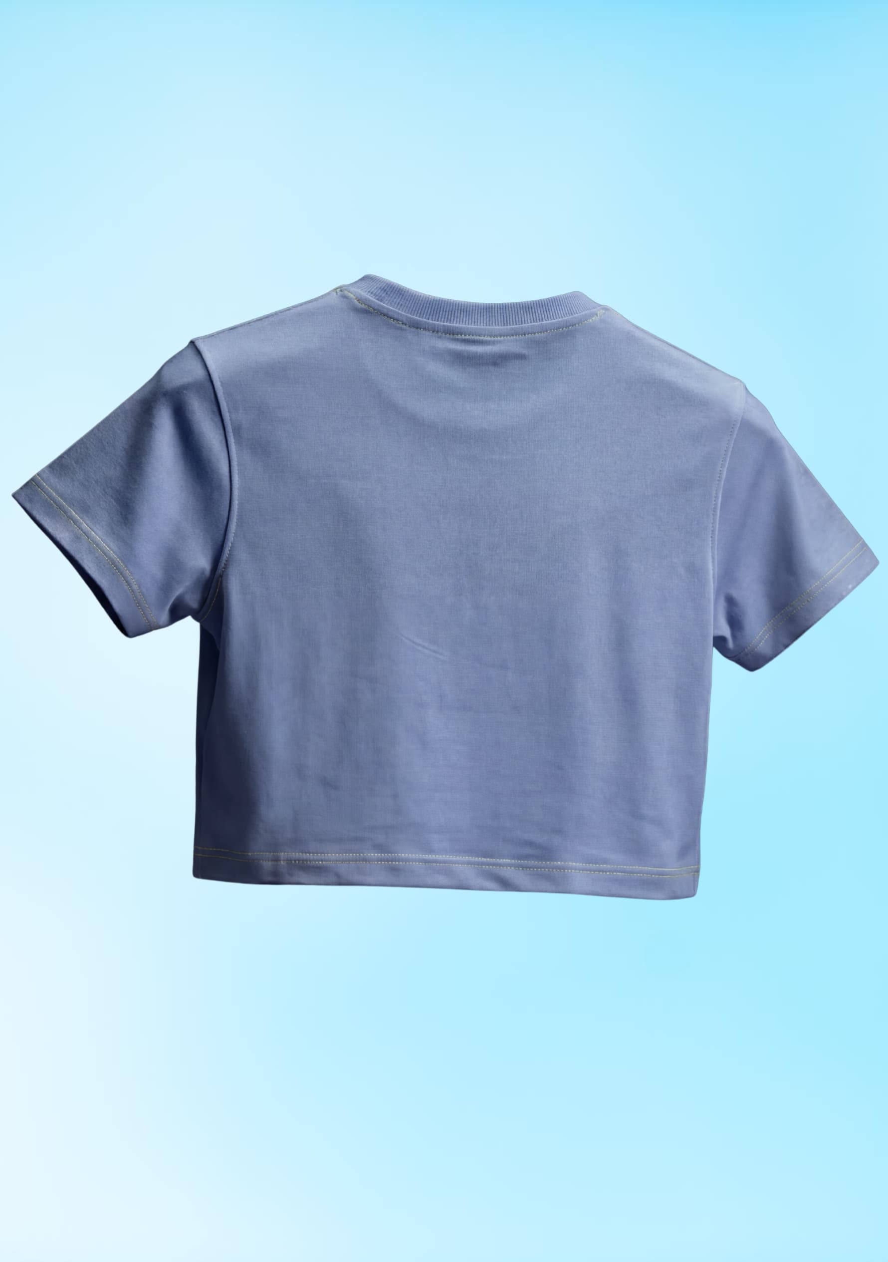 Still Phase (Blue) Crop Top
